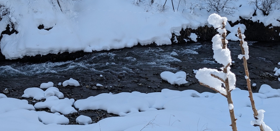 PXL_20231224_005725583