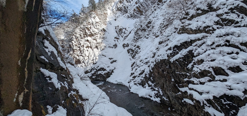 PXL_20231224_014540580