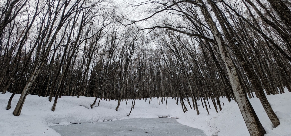 PXL_20231224_045949687