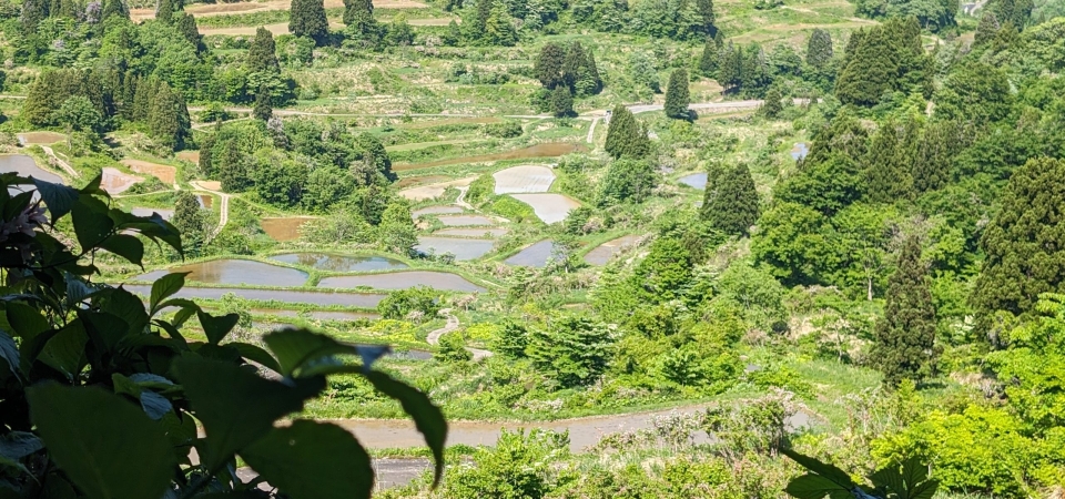 PXL_20240517_054046850