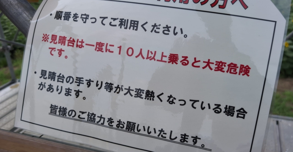 PXL_20240824_025400094