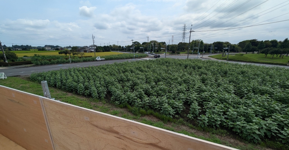 PXL_20240824_025452986.MP