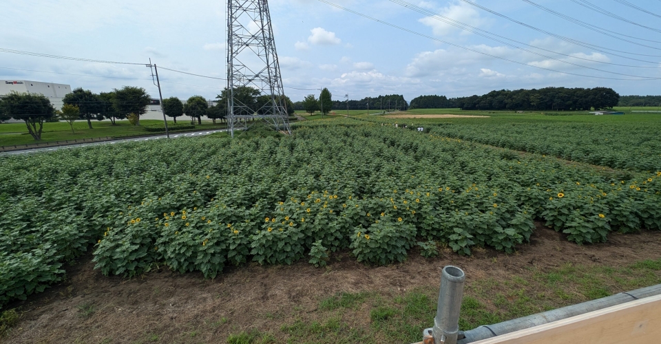 PXL_20240824_025456349