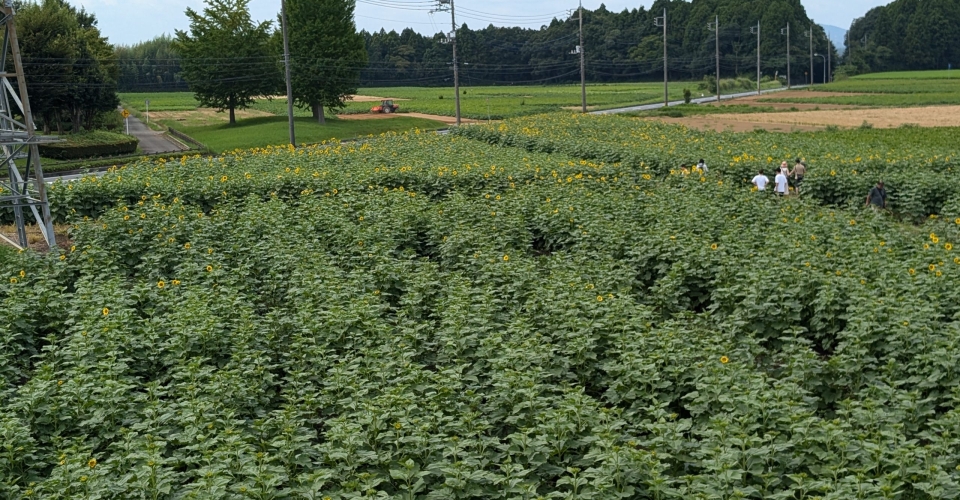 PXL_20240824_025506927.MP