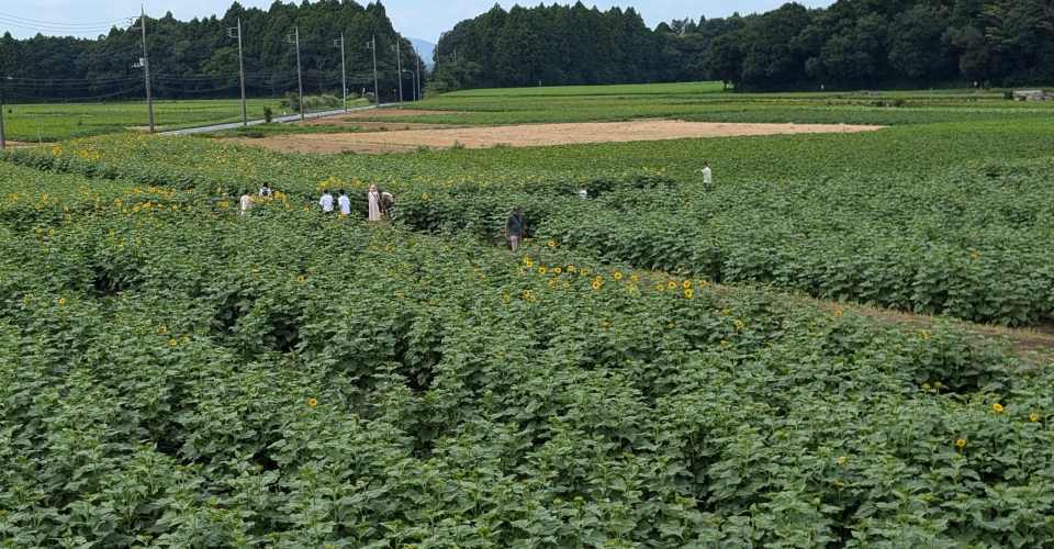 PXL_20240824_025509443.MP