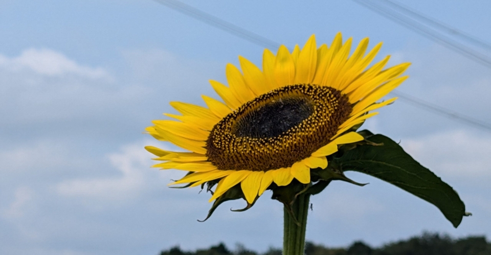 PXL_20240824_025727985