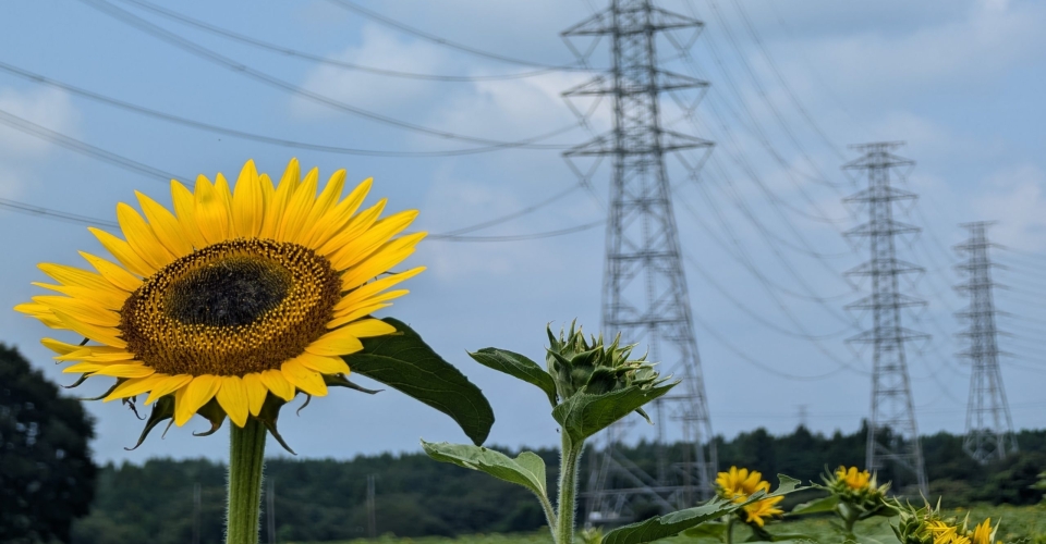 PXL_20240824_025810746