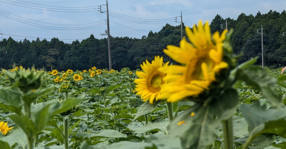 PXL_20240824_025855297