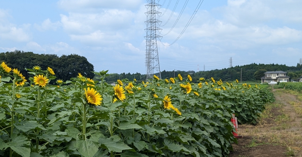 PXL_20240824_030212945