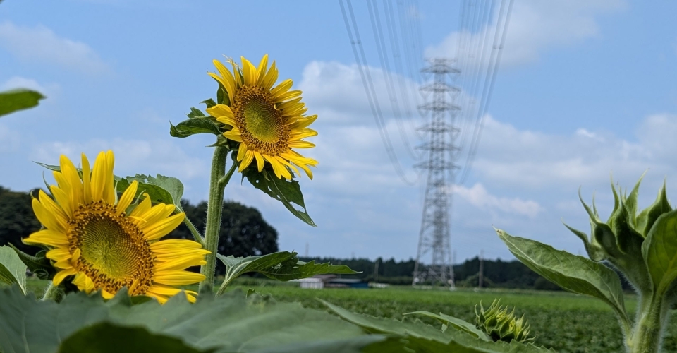 PXL_20240824_030352941