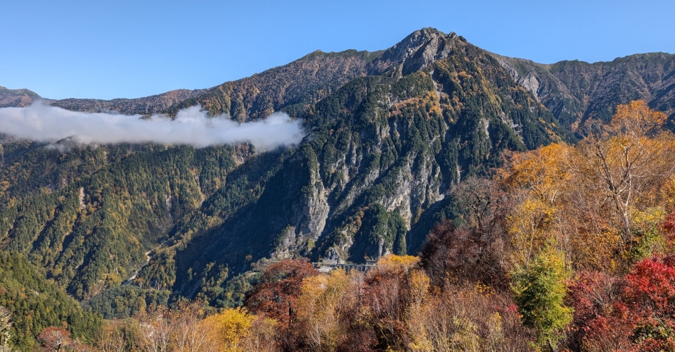 PXL_20241020_023715409