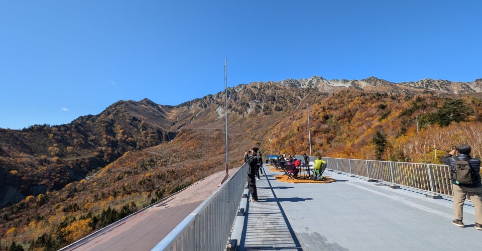 PXL_20241020_024203556