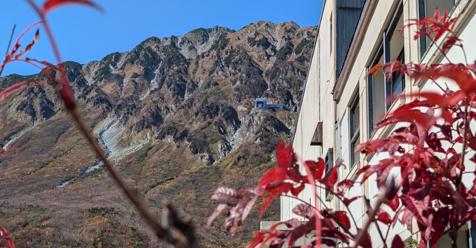 PXL_20241020_024939001