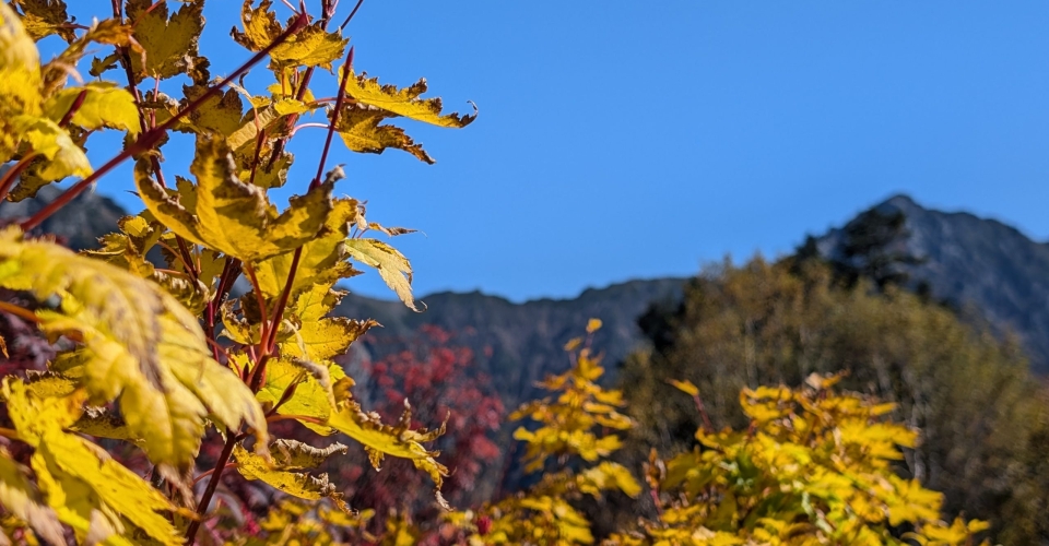 PXL_20241020_025011716