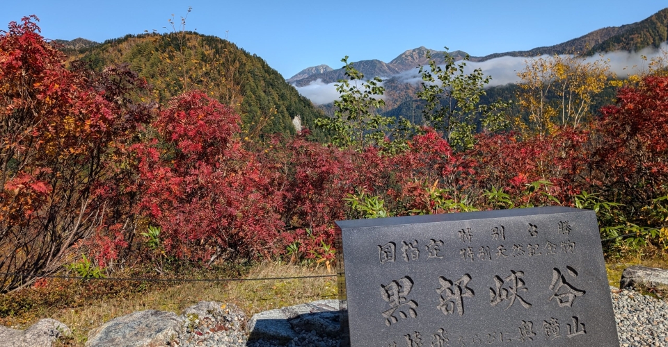 PXL_20241020_025140993