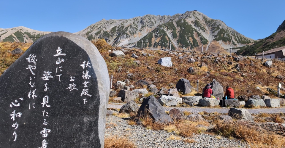 PXL_20241020_040622622