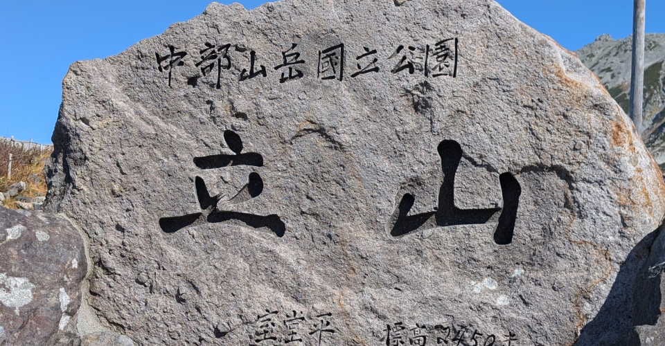 PXL_20241020_040700347