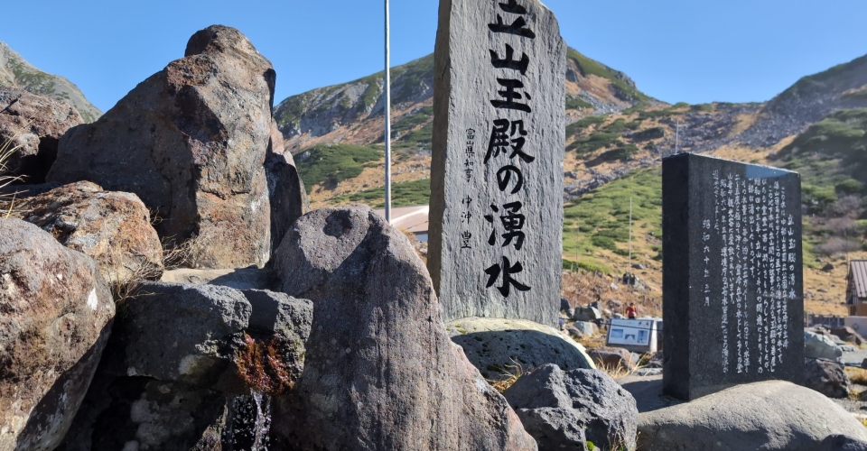 PXL_20241020_041037074