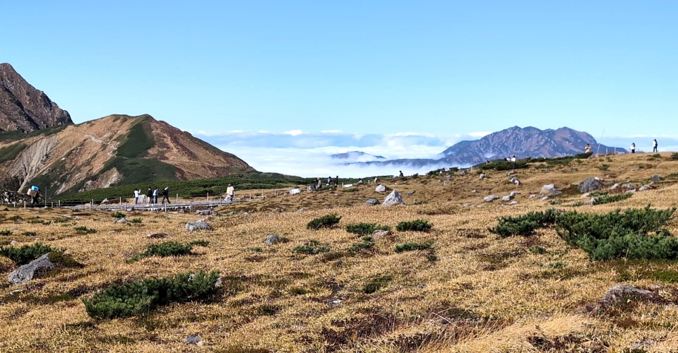 PXL_20241020_041506102.mp4_000000383