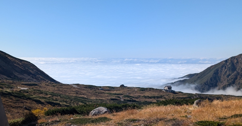 PXL_20241020_042134157