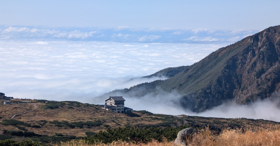 PXL_20241020_042146359