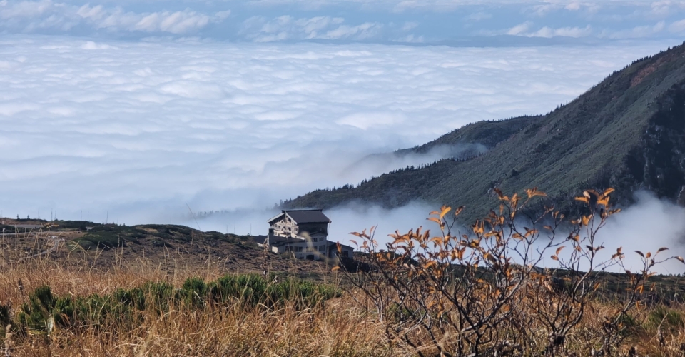 PXL_20241020_042304914