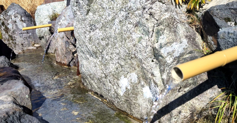 PXL_20241020_042628906.mp4_000008482