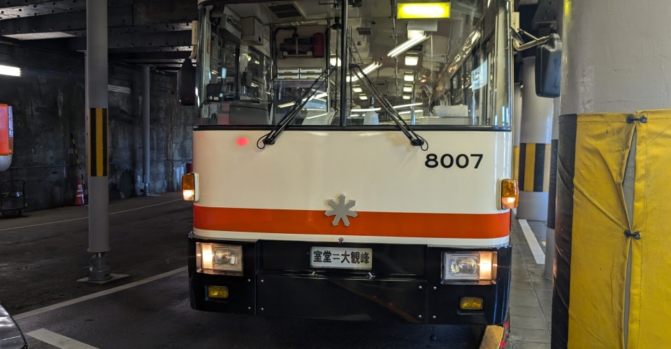 PXL_20241020_045451983