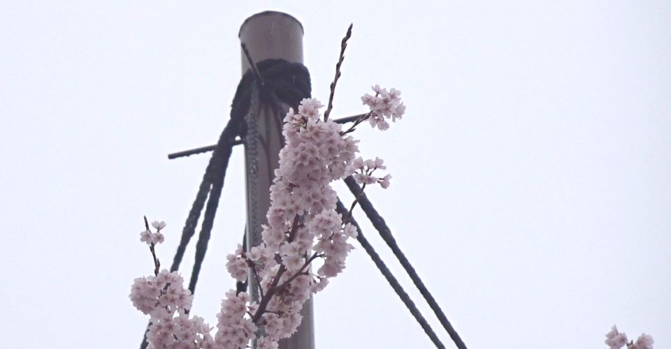 MAH05220.MP4_000013296_copy