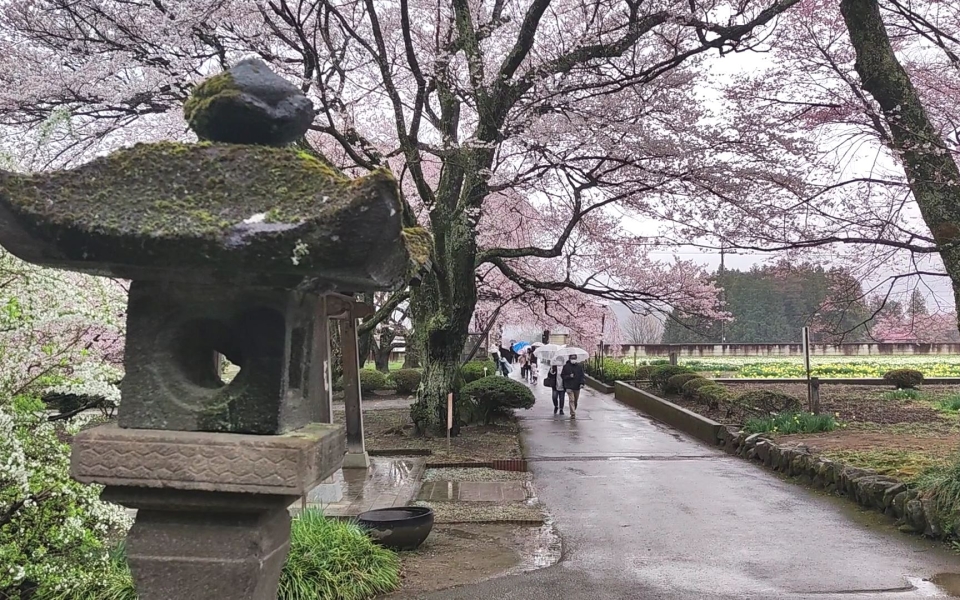 VID_20230325_152814.mp4_000005794