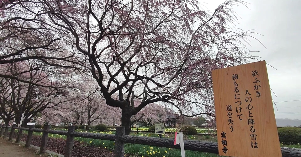 VID_20230325_154109.mp4_000003432