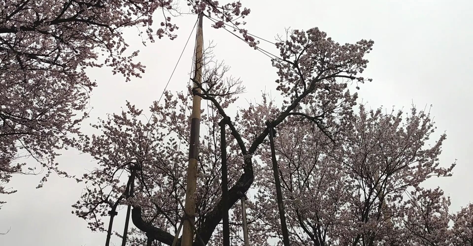 VID_20230325_154145.mp4_000007894