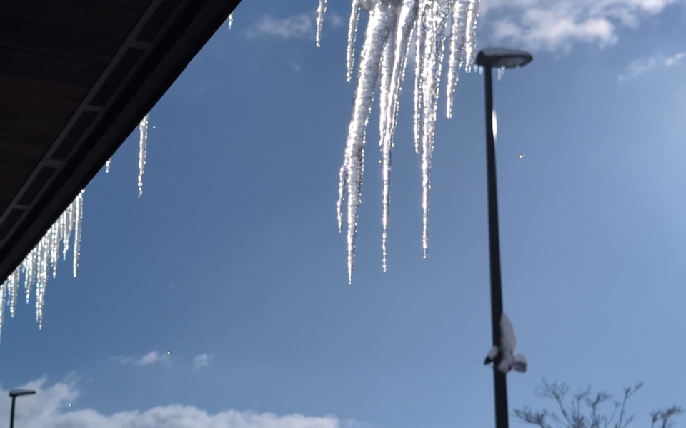 PXL_20250207_234539879