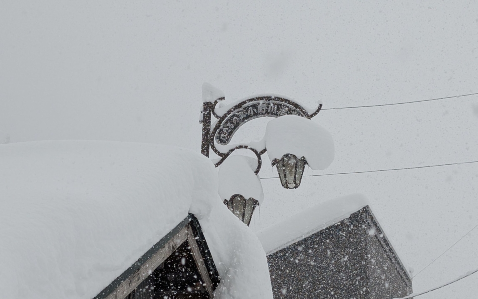 PXL_20250208_022104271.MP