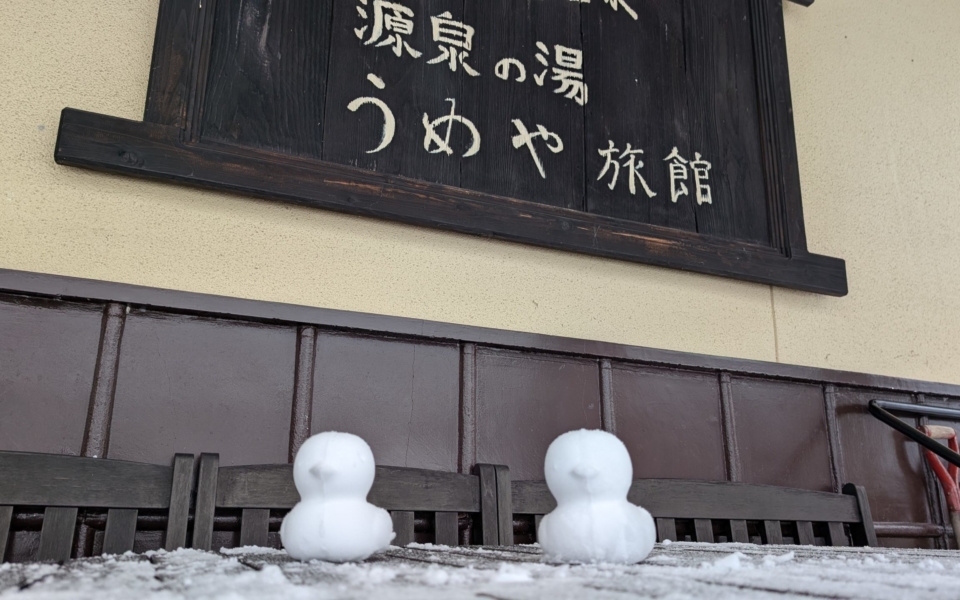 PXL_20250208_023737500.MP