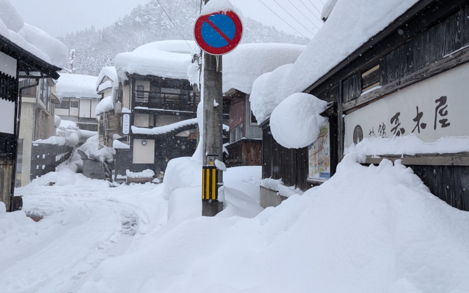 PXL_20250208_025110098.MP