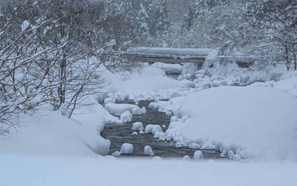 PXL_20250208_041049509