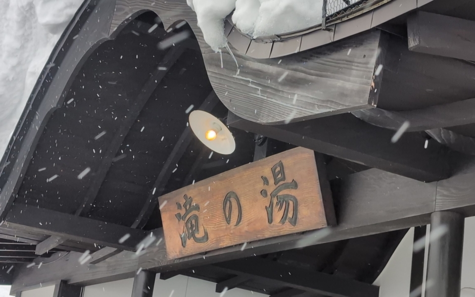 PXL_20250208_041332909