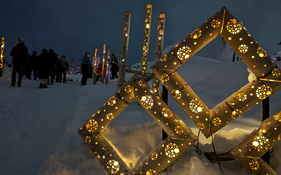 PXL_20250209_085603197_02