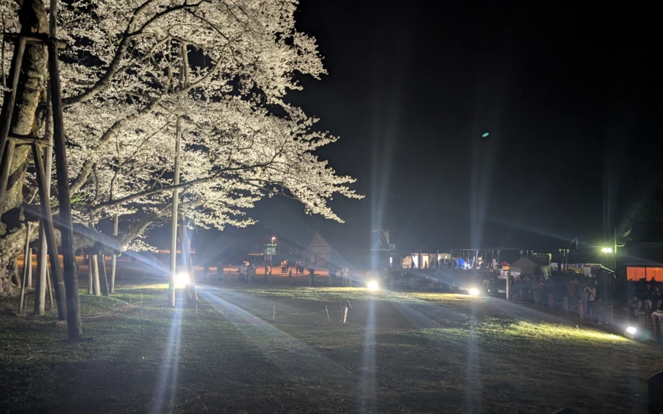 PXL_20250412_114445101