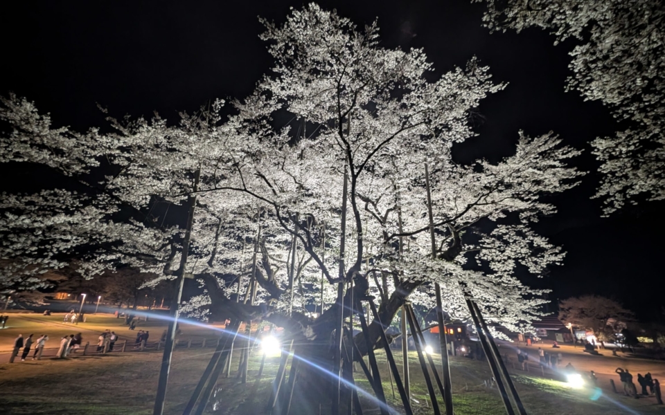 PXL_20250412_114715155