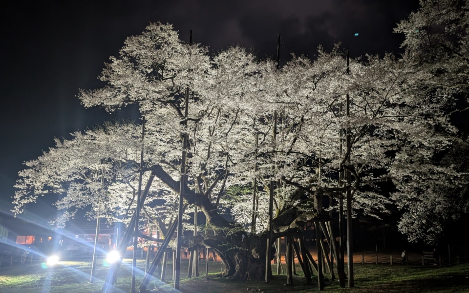 PXL_20250412_114853956