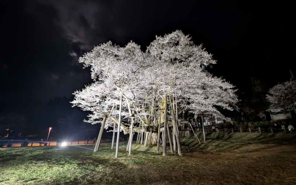 PXL_20250412_115300873